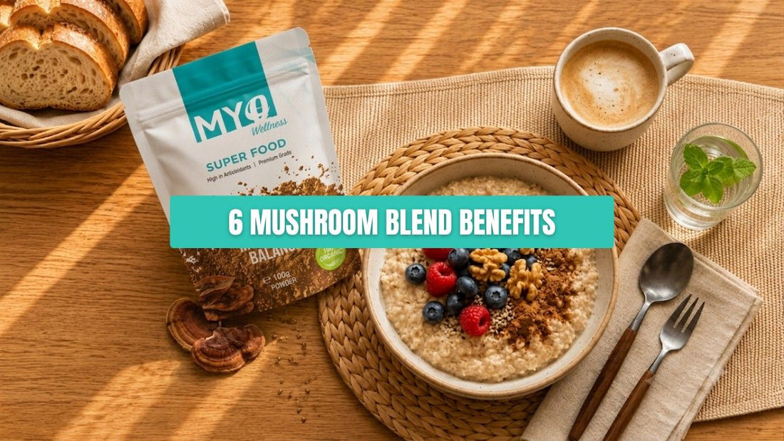 6 Mushroom Blend Benefits: Why Mushroom Complexes Are Trending