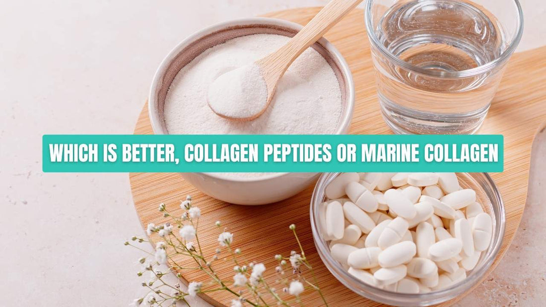 Which is better, collagen peptides or marine collagen?