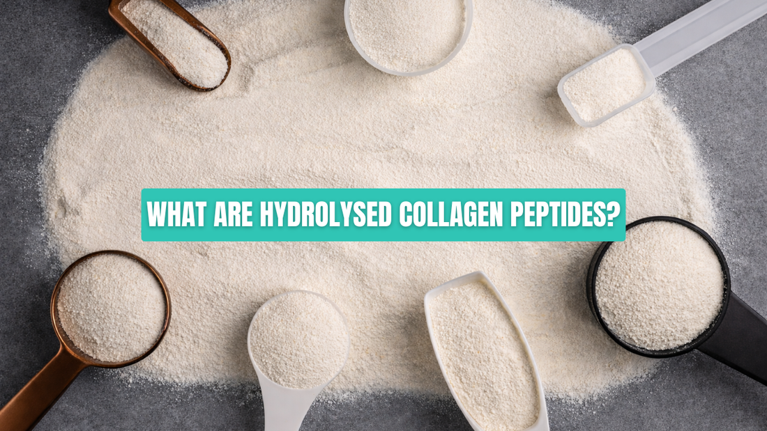 What are Hydrolysed Collagen Peptides?
