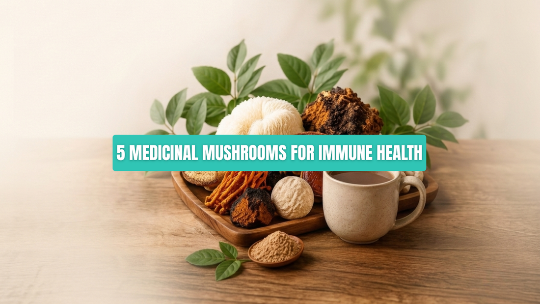 How Five Medicinal Mushrooms Support a Healthy Immune System?
