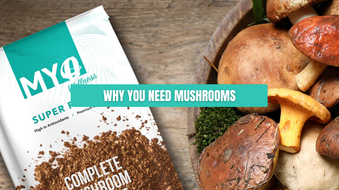 Why Mushrooms Are the Superfood You Need to Try