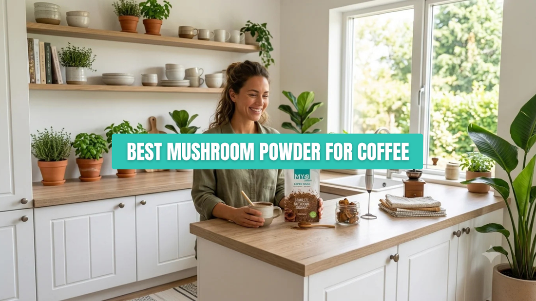 Best Mushroom Powder for Coffee: A Buyer's Guide