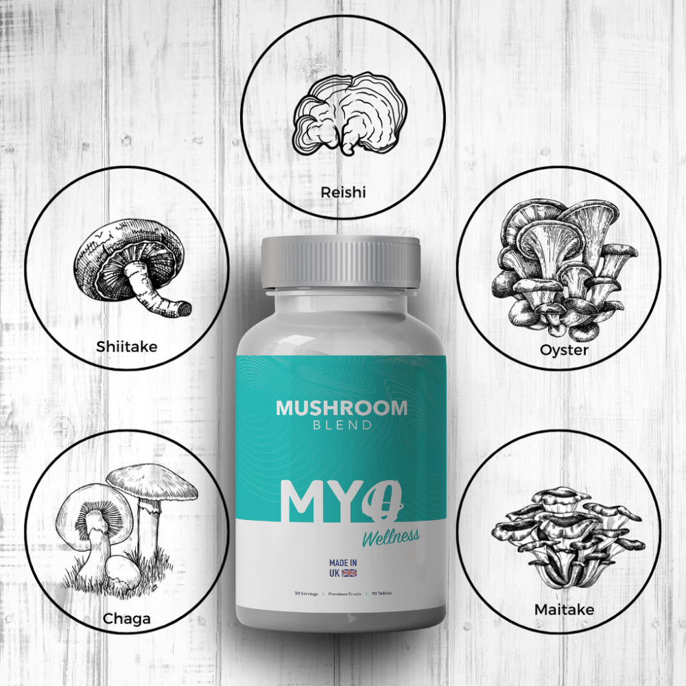Mushroom Blend Capsules bottle with illustrations of different mushroom types on a wooden background